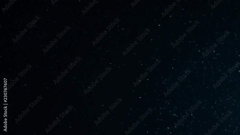 Natural Organic Dust Particles Floating On Black Background. Glittering Sparkling Particles Randomly Spin In The Air With Bokeh. Dynamic Particles With Fast And Slow Motion. Shimmering Dust In Space. Natural Organic Dust Particles Floating On Black Background. Glittering Sparkling Particles Randomly Spin In The Air With Bokeh. Dynamic Particles With Fast And Slow Motion. Shimmering Dust In Space.