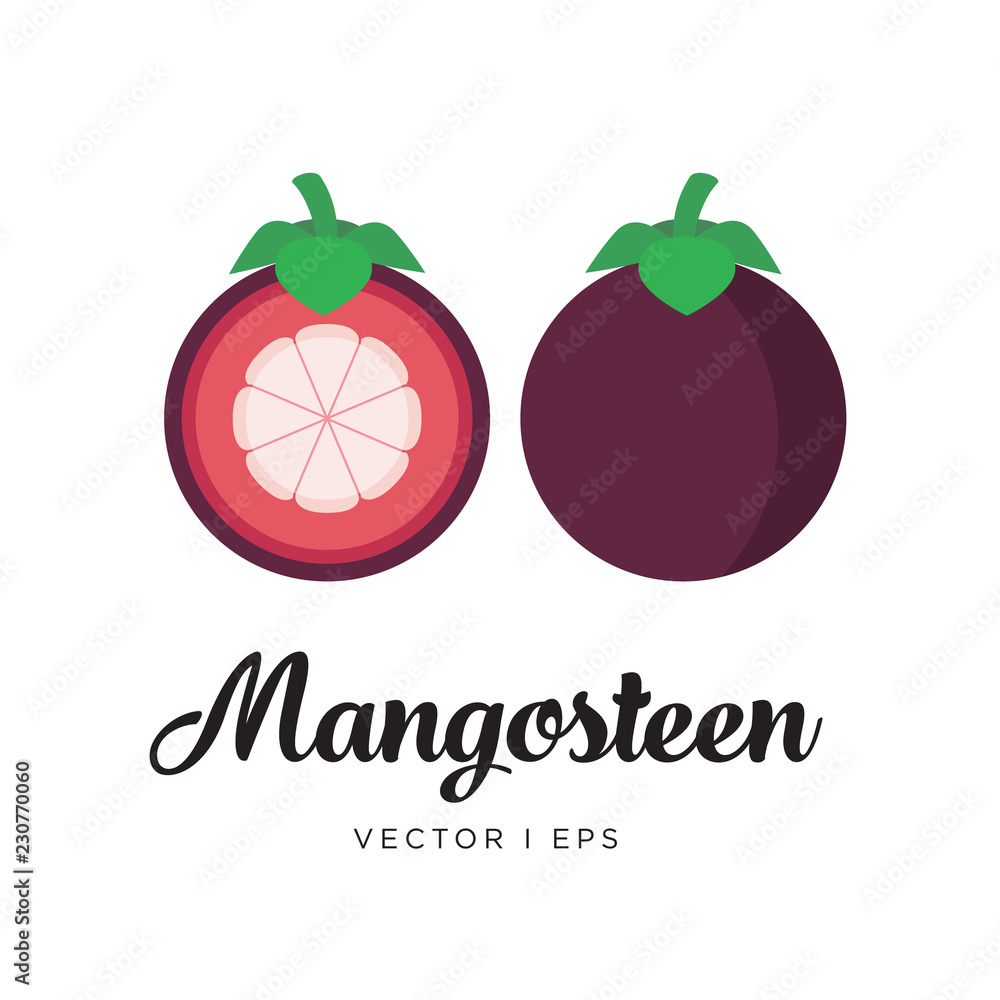 Obraz premium Fresh mangosteen, cut sliced, seeds, leaf and steam, vector editable illustration. Flat simple style, tropical fruit.