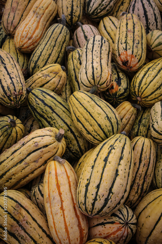Delicata squashes on a farmer's market Delicata squashes on a farmer's market