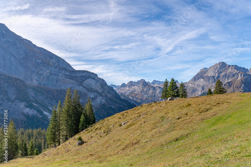 Fototapeta Naklejka Na Ścianę i Meble -  Wandern im Berner Oberland mit Blick auf die Schweizer Alpen - Kanton Bern, Schweiz