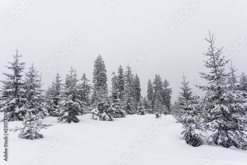 Winterlandschaft am Rachel © Alexander von Düren
