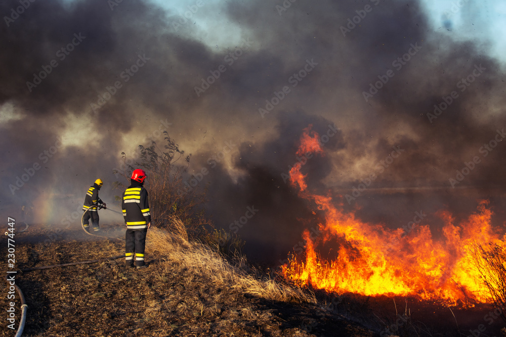 Naklejka premium Firefighters battle a wildfire