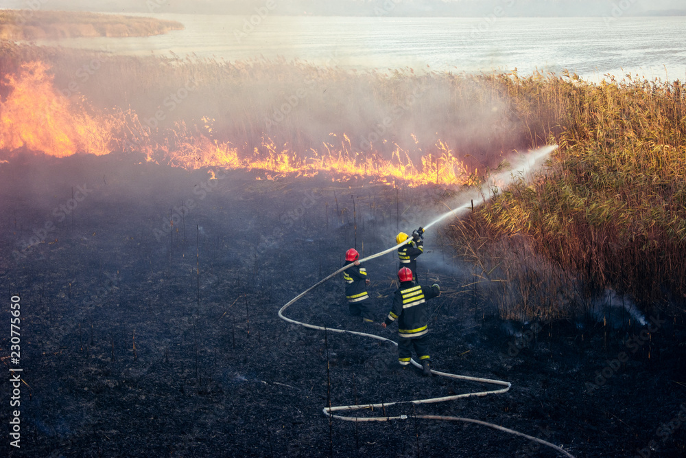 Fototapeta premium Firefighters battle a wildfire
