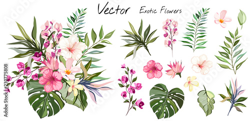 Tropical vector flowers. card with floral illustration. Bouquet of flowers with exotic Leaf isolated on white background. composition for invitation to party or holiday photo