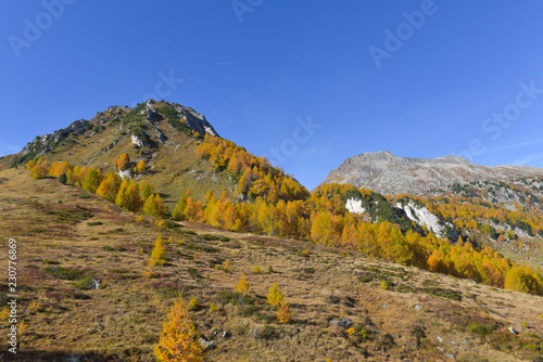 Montagne colorate di gialle in autunno e cielo azzurro