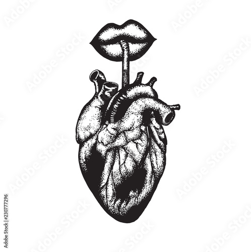 Vector hand drawn illustration of human heart with lips and straw. Hand sketched tattoo artwork. Template for card, poster, banner, print for t-shirt.