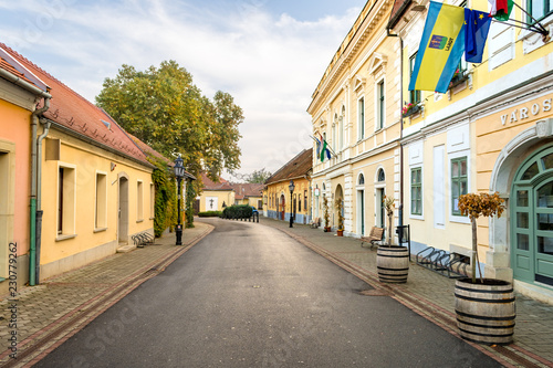 Tokaj historic city center with the Town Hall in autumn colours. The small town in Northeastern Hungary is famous for its viticulture © Bence