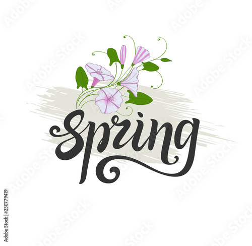 Spring lettering. decorative element convolvulus bouquet. White and pink flowers bindweed.