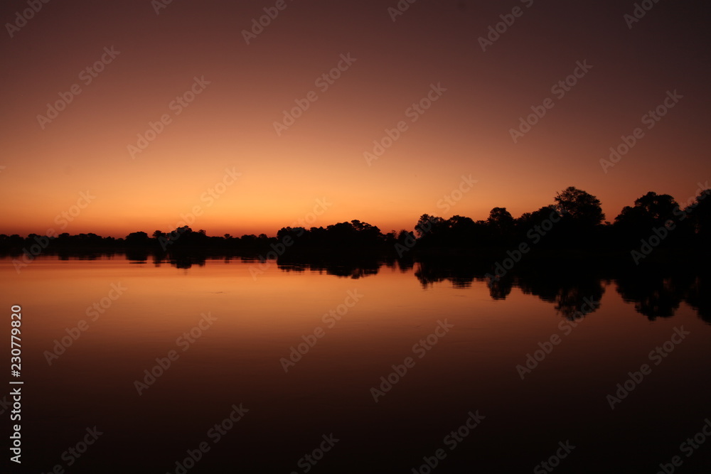 Silhouette of trees on the Okavango river at sunset