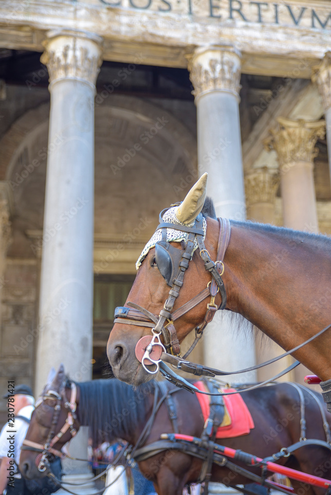Obraz premium Monuments in Rome, Italy. Pantheon, facade of the Roman temple with horses of tourist carriages