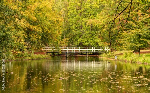 View of Bridge over a lake in park