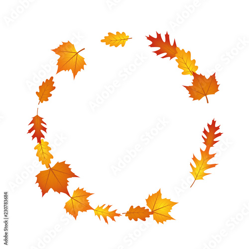 autumn leaves circle isolated on white background