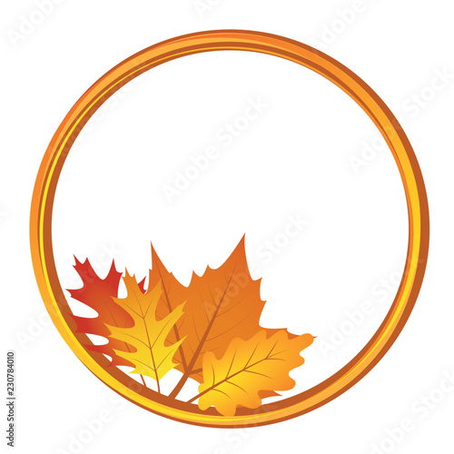 circle with autumn leaves on white background
