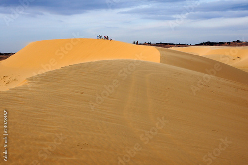 sand dune in desert