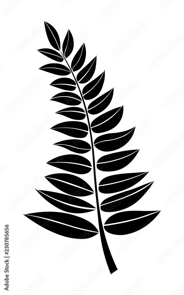 vector black silhouette of a branch with leaves. design element. Hand draw plant and tree branches with leaves. floral silhouettes. botanical illustration.