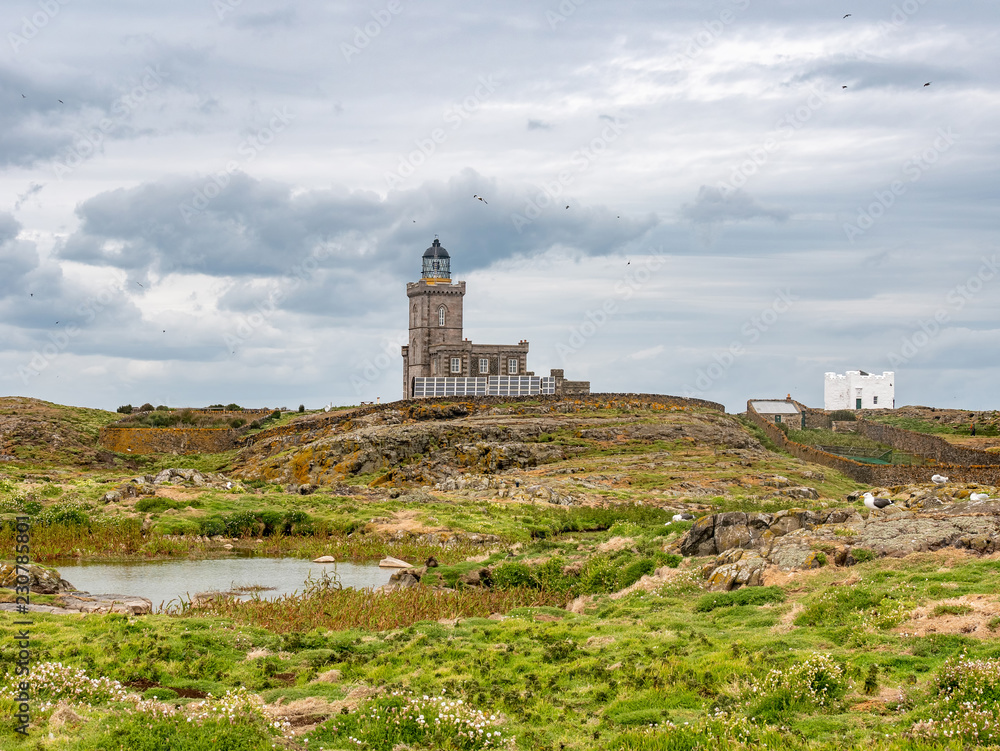 A view of the lighthouse on the Isle of May in Scotland