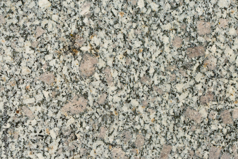 Asbestos slate texture concrete covered with lichen and moss Asbestos slate texture concrete covered with lichen and moss