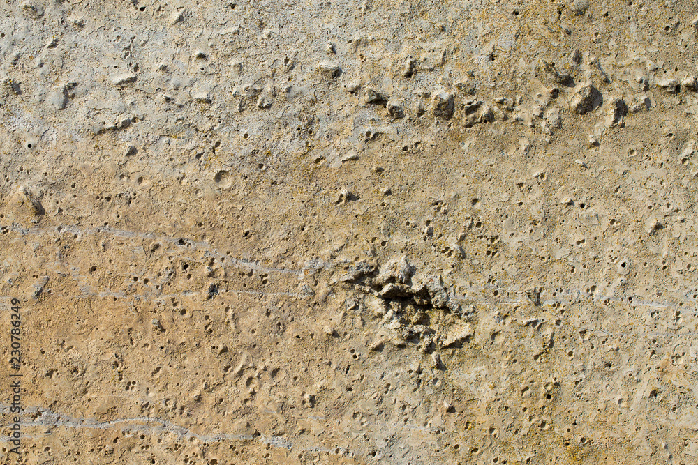 Asbestos slate texture concrete covered with lichen and moss