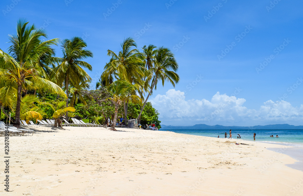 Paradise beach in caribbean sea, white beach, plams and turquoise ocean, some tourists at the beach in the dominican republic