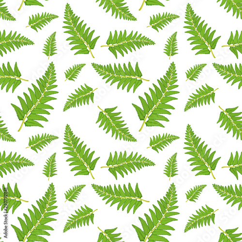 Fern leaf seamless pattern