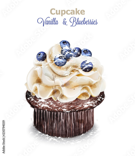 Vanilla and blueberry cupcake Vector. Delicious delicate dessert vintage menu templates