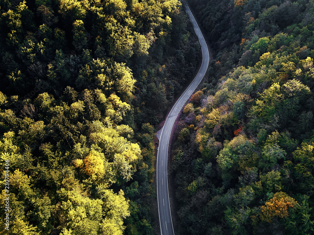 street between autumn trees in the forest aerial drone view from above, dji mavic street between autumn trees in the forest aerial drone view from above, dji mavic