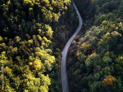 street between autumn trees in the forest aerial drone view from above, dji mavic