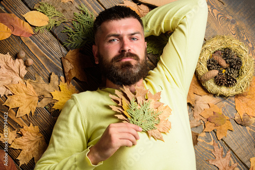 Hipster with beard enjoy season hold autumn leaves bouquet. Fall and autumn season concept. Fall atmosphere attributes. Man bearded calm face lay on wooden background with orange leaves top view photo