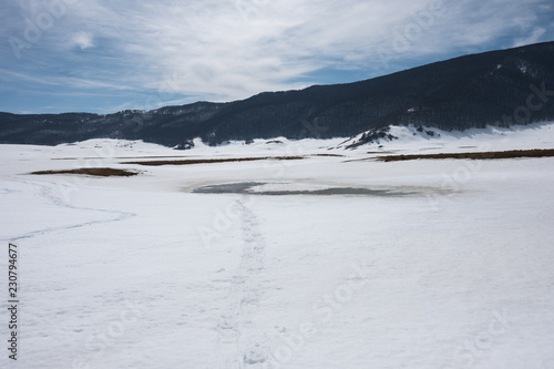 Wallpaper Mural Regional Reserve Voltigno Torontodigital.ca