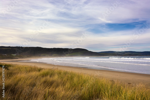 View on the bay of Curio Bay in the Catlins, New Zealand, South Island, close to the petrified forest. A very quiet beach landscape with a wonderful and peaceful look at the horizon. 
