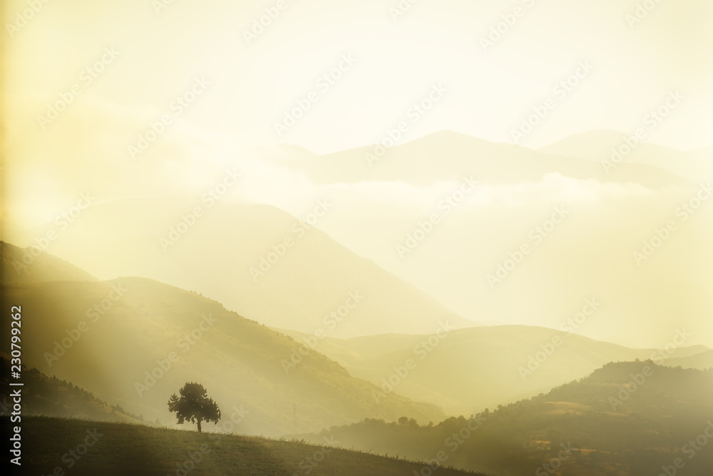 Lonely tree on the hillside against the background of silhouettes of mountain peaks in soft sunlight. Minimalism.
