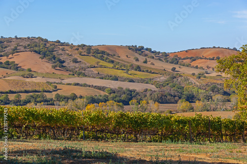 Picturesque Tuscany autumn landscape with vineyards and color fields, Italy