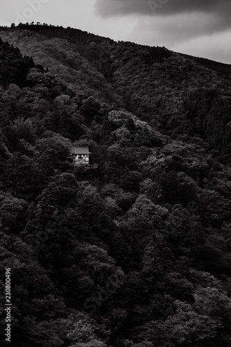 Senkō-ji Temple photo