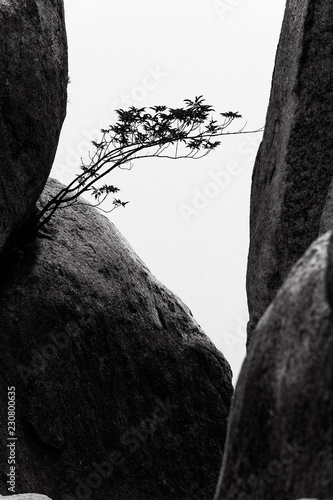 Mount Misen photo