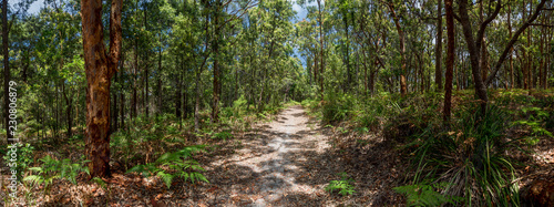Avoca, Kincumber Mountain walking track