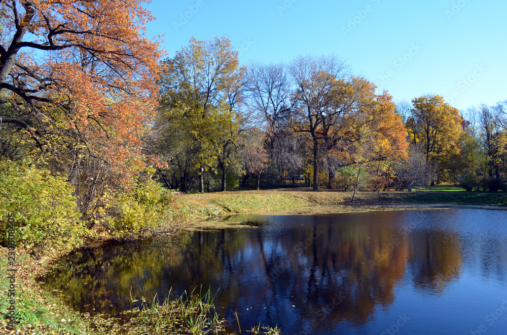 a cozy place in the Park on the pond a cozy place in the Park on the pond