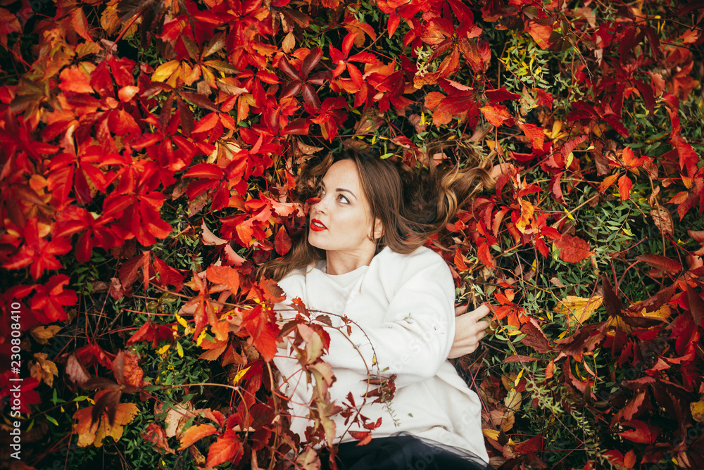 walk on the autumn park