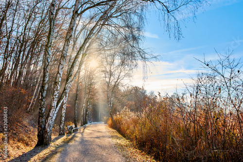 Spazierweg am Seeufer, erster Frost photo