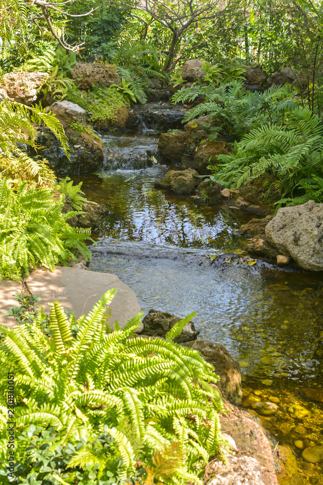 Obraz premium Japanese garden with stones, water and bushes