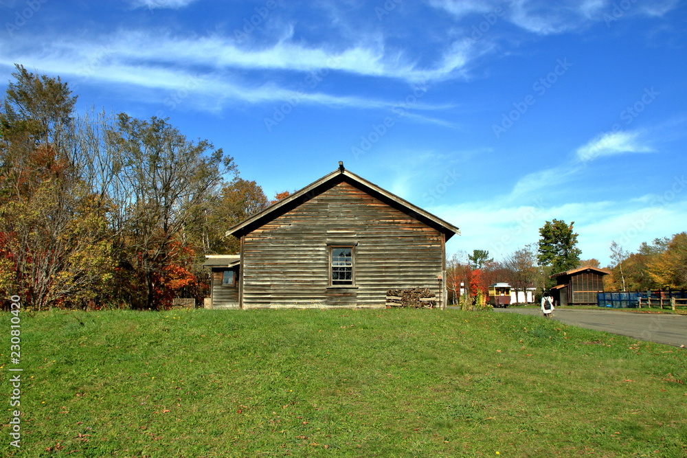 Obraz premium 北海道、札幌の公園の紅葉の風景