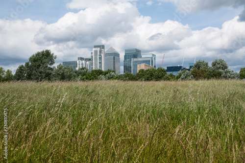 Canary wharf skyline - view from across the park behind green grass and bushes - London UK © tottoto