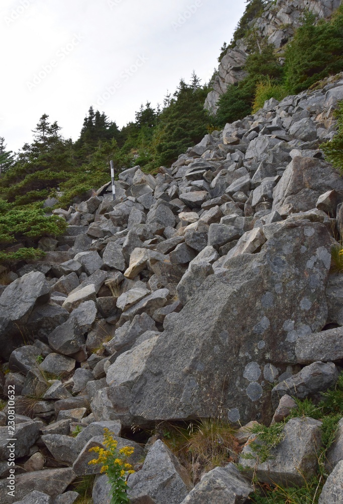 natural rock staircase along the Father Troy’s Path; East Coast trail near Torbay, Avalon Peninsula, NL Canada