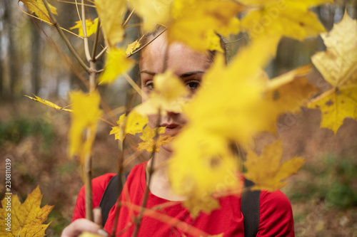 Woman holding yellow autumn leaves in front of her face photo