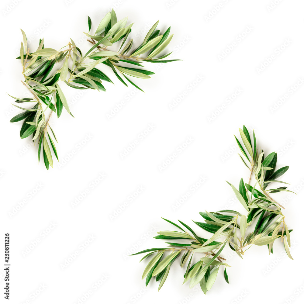 An overhead photo of a frame of olive tree branches and leaves with a place for text, shot from the top on a white background with copyspace