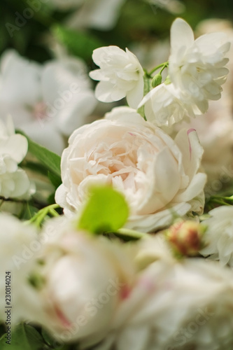 Closeup of a bouquet with roses and other white flowers. very large photo of flowers