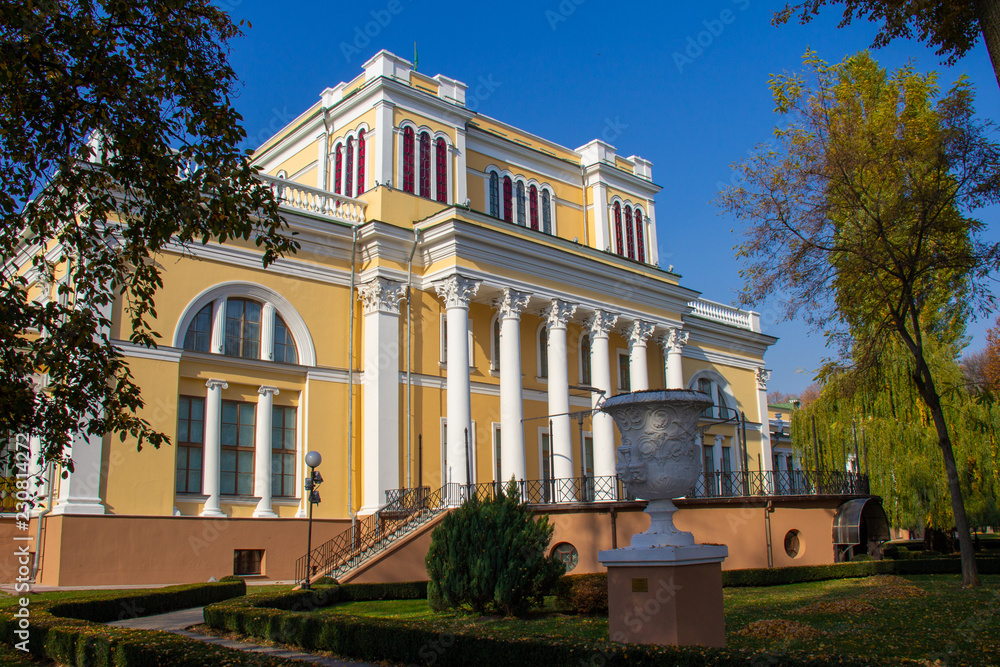 Rumyantsev-Paskevich Palace in Gomel