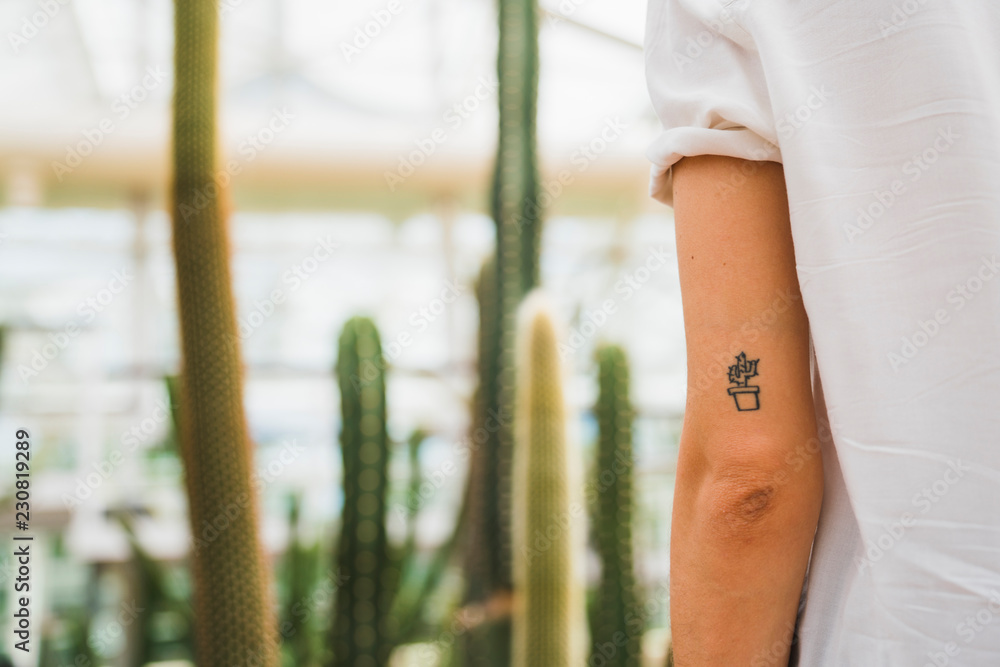 Buy Barrel Cactus Temporary Tattoo set of 3 Online in India - Etsy