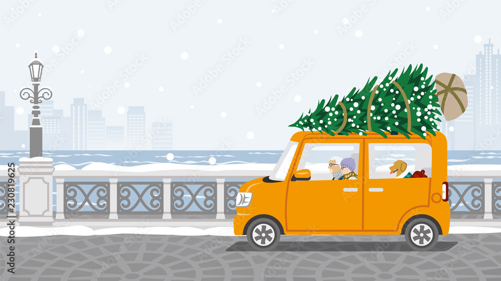 Senior couple riding the car which loaded the Christmas tree - Winter stone paving road background