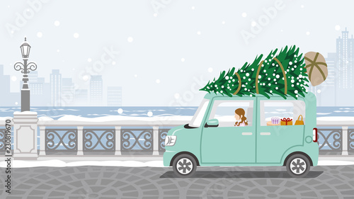 Young woman riding the car which loaded the Christmas tree - Winter stone paving road background