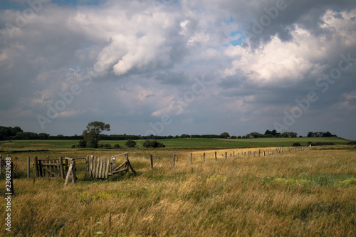Field with a cloudy sky